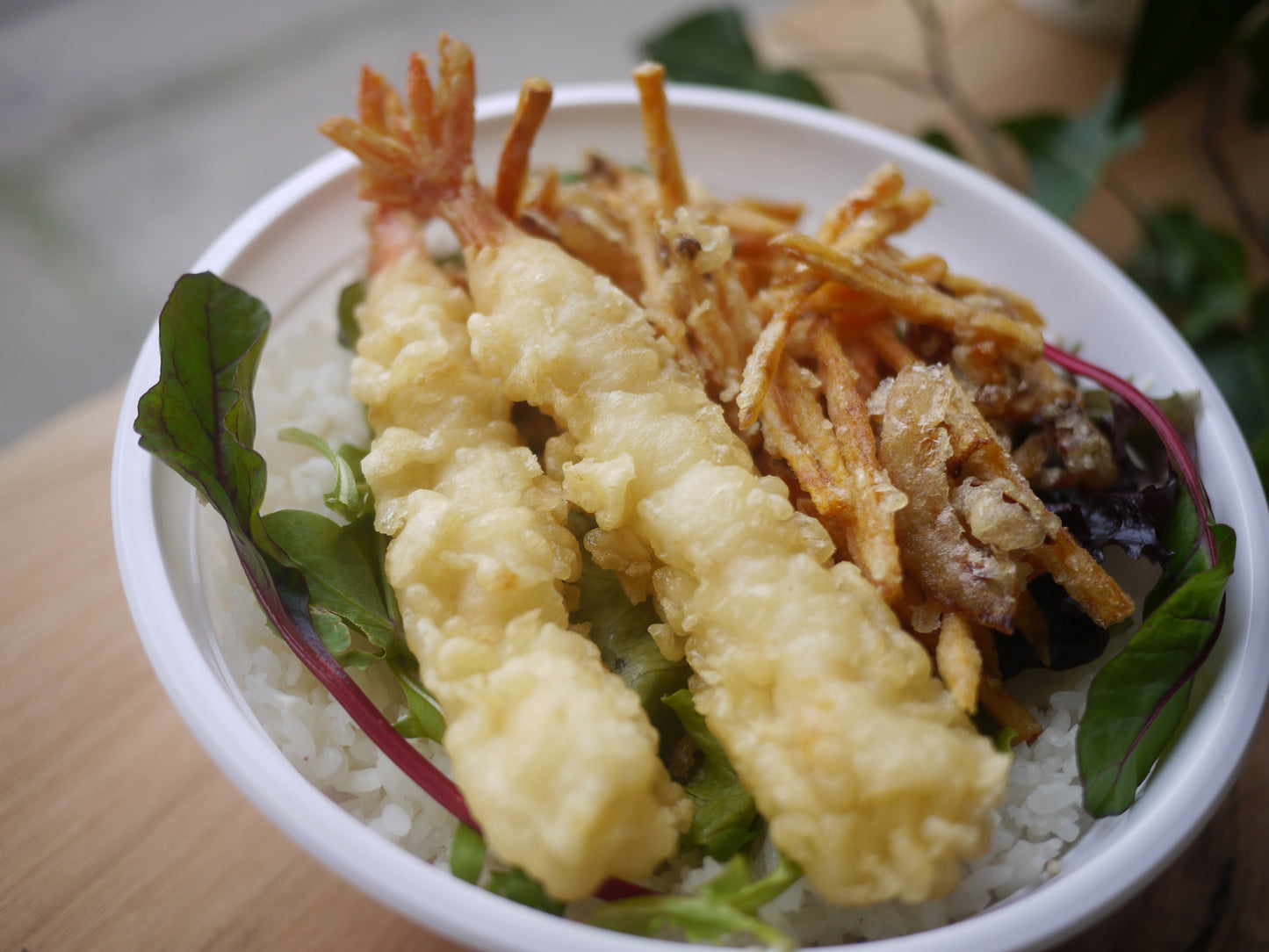 Donburi -Rice Bowl