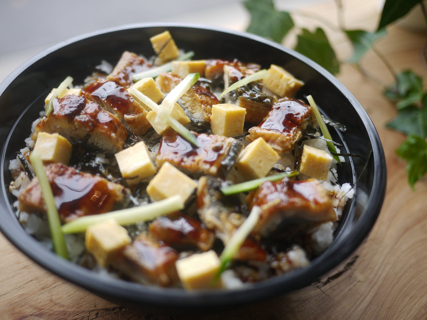 Donburi -Rice Bowl