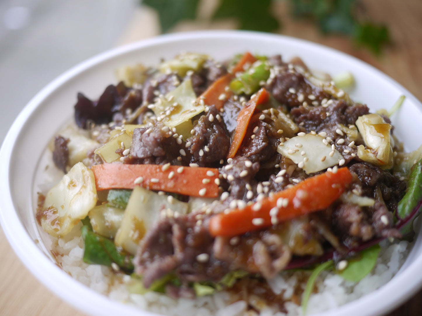 Donburi -Rice Bowl